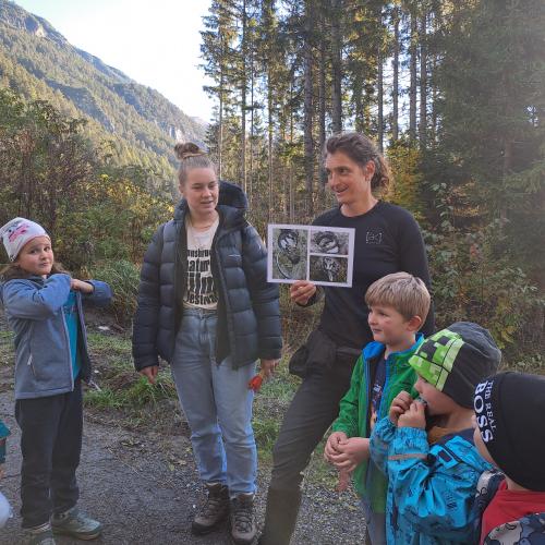 Projekt Wald in Pettneu, 2024