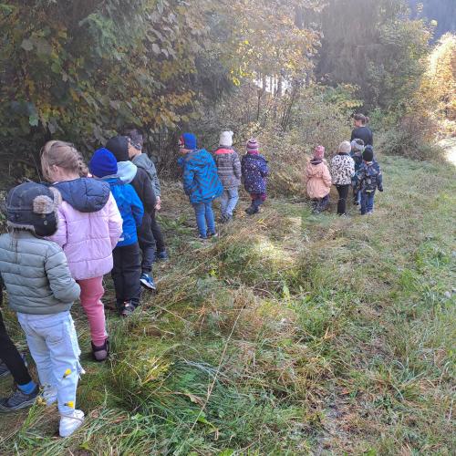 Projekt Wald in Pettneu, 2024