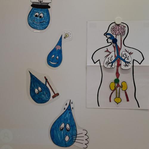 VS Flirsch: Wasserworkshop