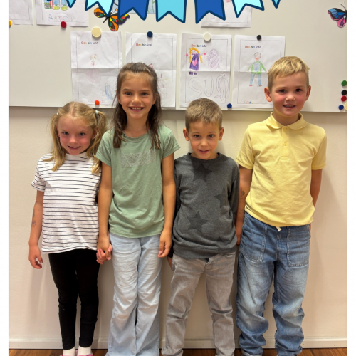 Buddyprojekt IV