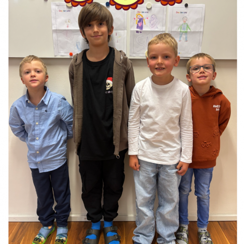 Buddyprojekt V