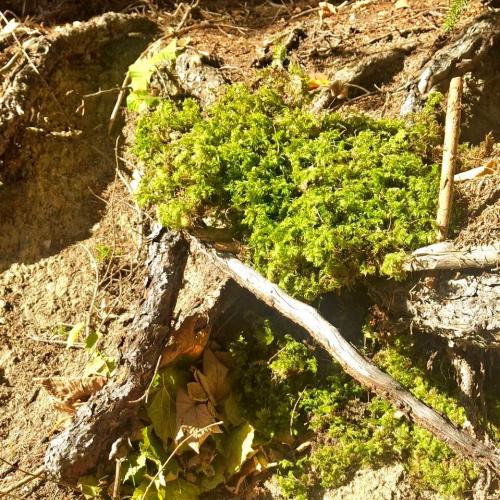 Nachmittagsbetreuung