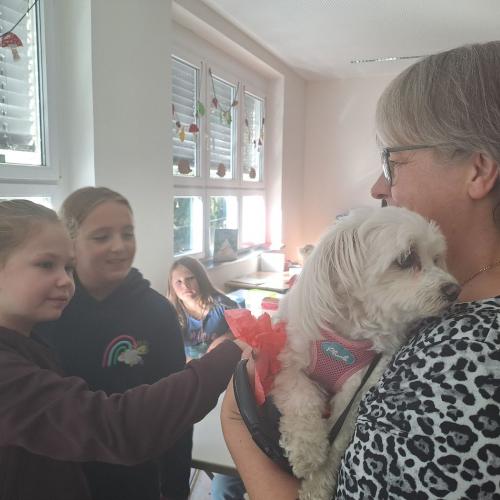 2025 Sachunterricht_Referat Hund