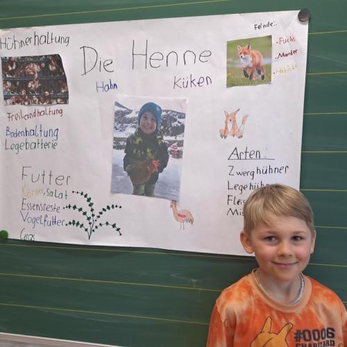 2026 Referat über Hühner