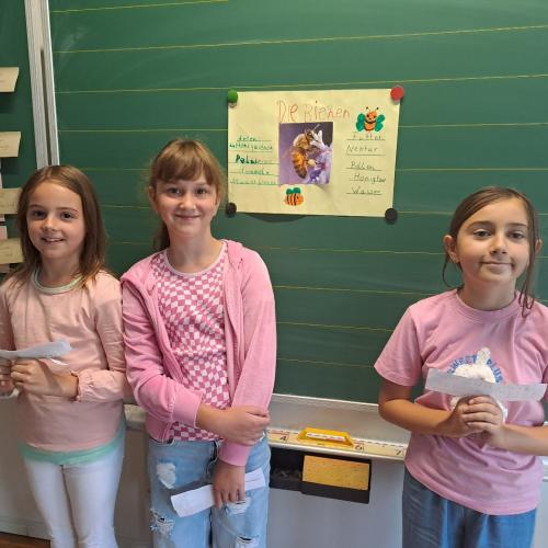 Referat Bienen, Flirsch